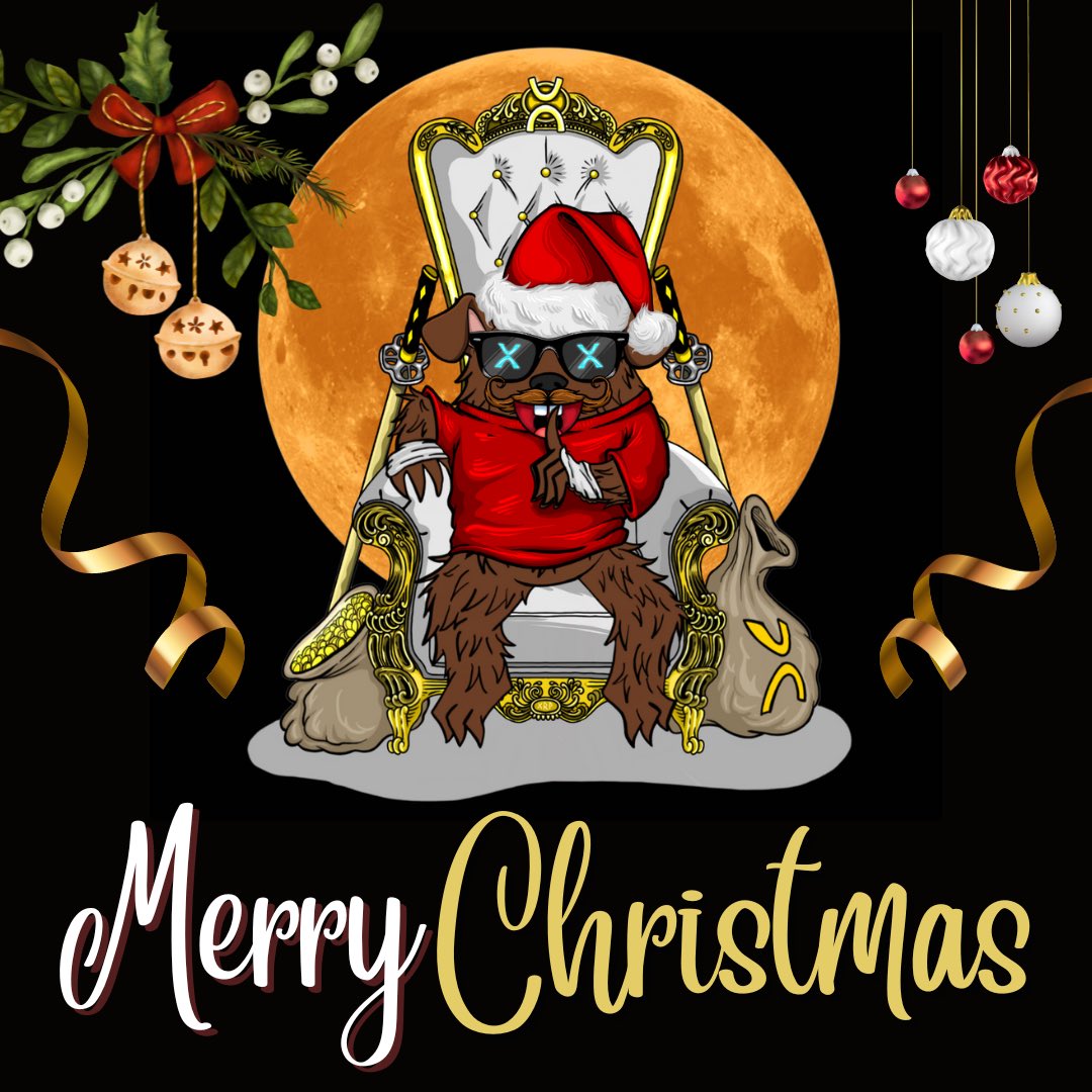 Bears XRPL 🐻 tweet media