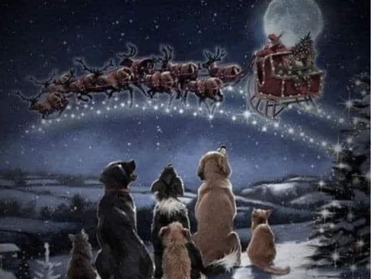 🇬🇧ALICIA🇬🇧 tweet media