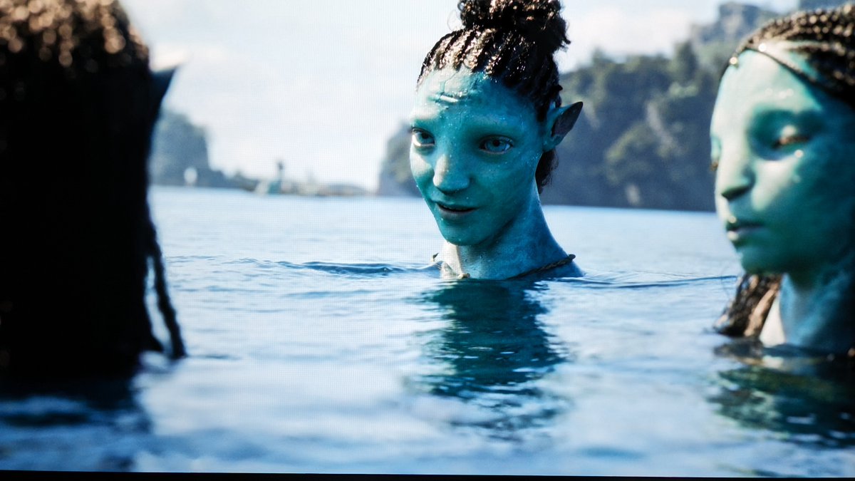Avatar: The Way of Water on 4K Ultra Blu-ray: HDR10 vs Dolby Vision.

I'm not going to tell you which one was played on which of my 4K Players (Panasonic UB9000 &amp; Reavon X200). However, all tone mapping was turned off for the HDR10 version. The Display is a professionally