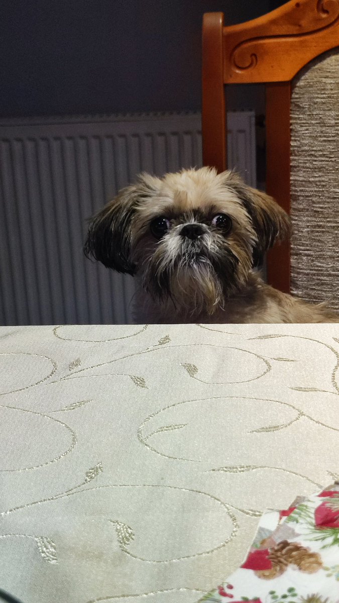 Wulgarny Gracz tweet media