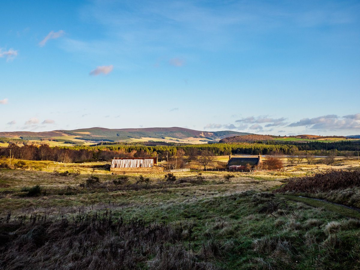 alan_crichton's tweet photo. Circuit of Auchnerran from #LogieColdstone #HoweOfCromar #Deeside today via #PoldhuWells A breezy and bracing pre Christmas wander. That’s your fault/inspiration Alan @MunroMoonwalker 😉 https://t.co/k9y8TgFk3f