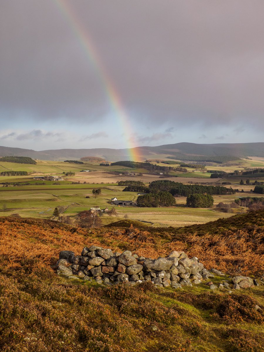 alan_crichton's tweet photo. Circuit of Auchnerran from #LogieColdstone #HoweOfCromar #Deeside today via #PoldhuWells A breezy and bracing pre Christmas wander. That’s your fault/inspiration Alan @MunroMoonwalker 😉 https://t.co/k9y8TgFk3f