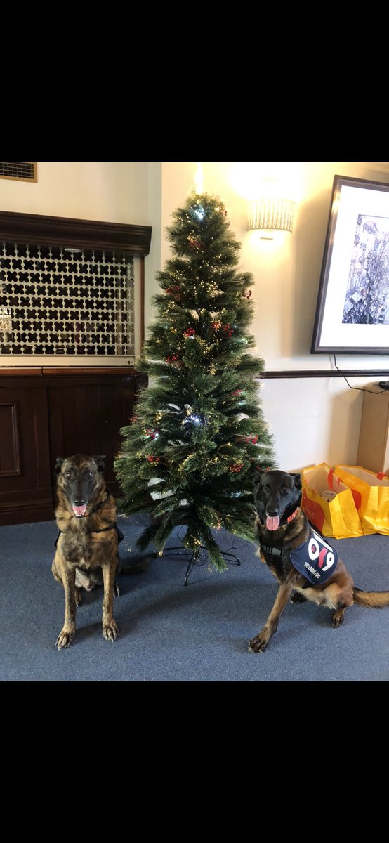 @PD_DexterWBDOG @MetTaskforce @metpoliceuk @mikesjoyce_mike Merry Christmas from @PBaloo and #RPDRex two of the @EssexPoliceUK #wellbeingdog team 🎅🏻 🎄 xx