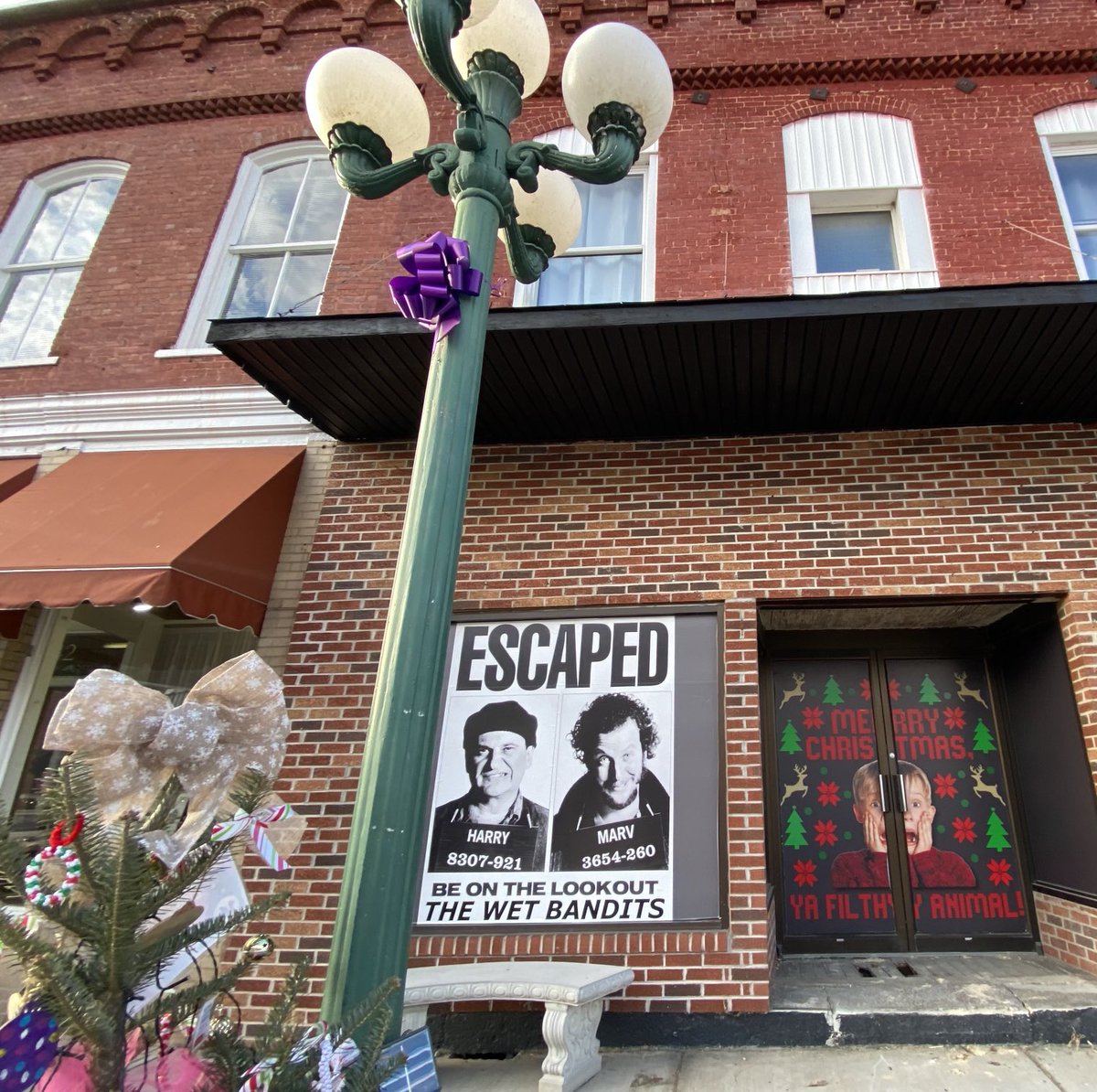 Senta Scarborough tweet media