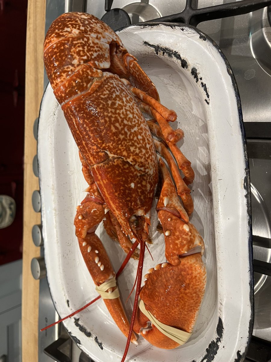CarolPoyerPeett's tweet photo. It started with champagne and cheese footballs but the treat is to come #locallobster #shoplocal #Supportpurgishermenandfarmers Merry Christmas ! https://t.co/cdyj43uan6