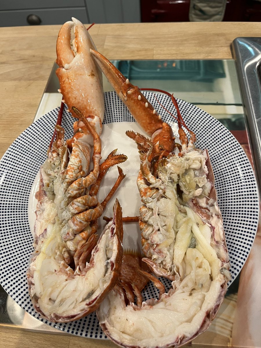CarolPoyerPeett's tweet photo. It started with champagne and cheese footballs but the treat is to come #locallobster #shoplocal #Supportpurgishermenandfarmers Merry Christmas ! https://t.co/cdyj43uan6