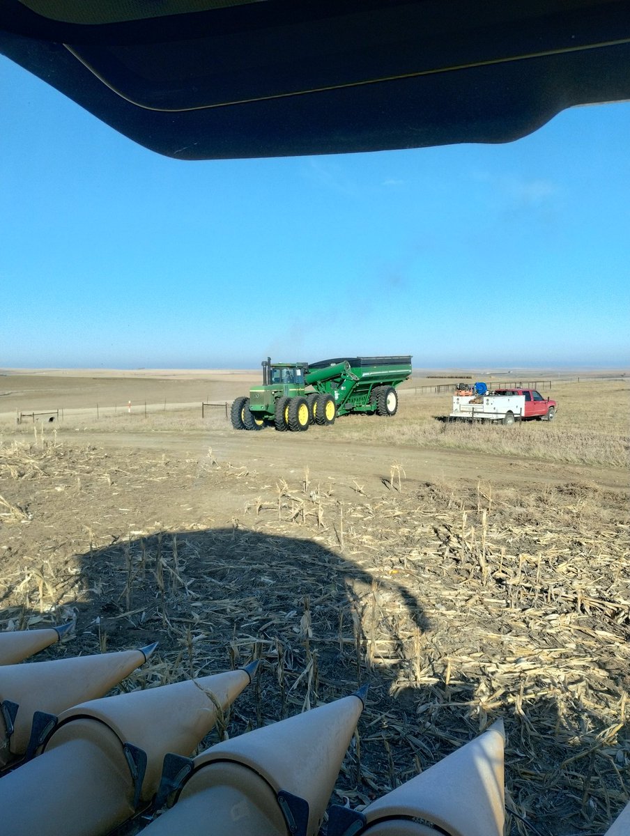 Okaton Farm tweet media