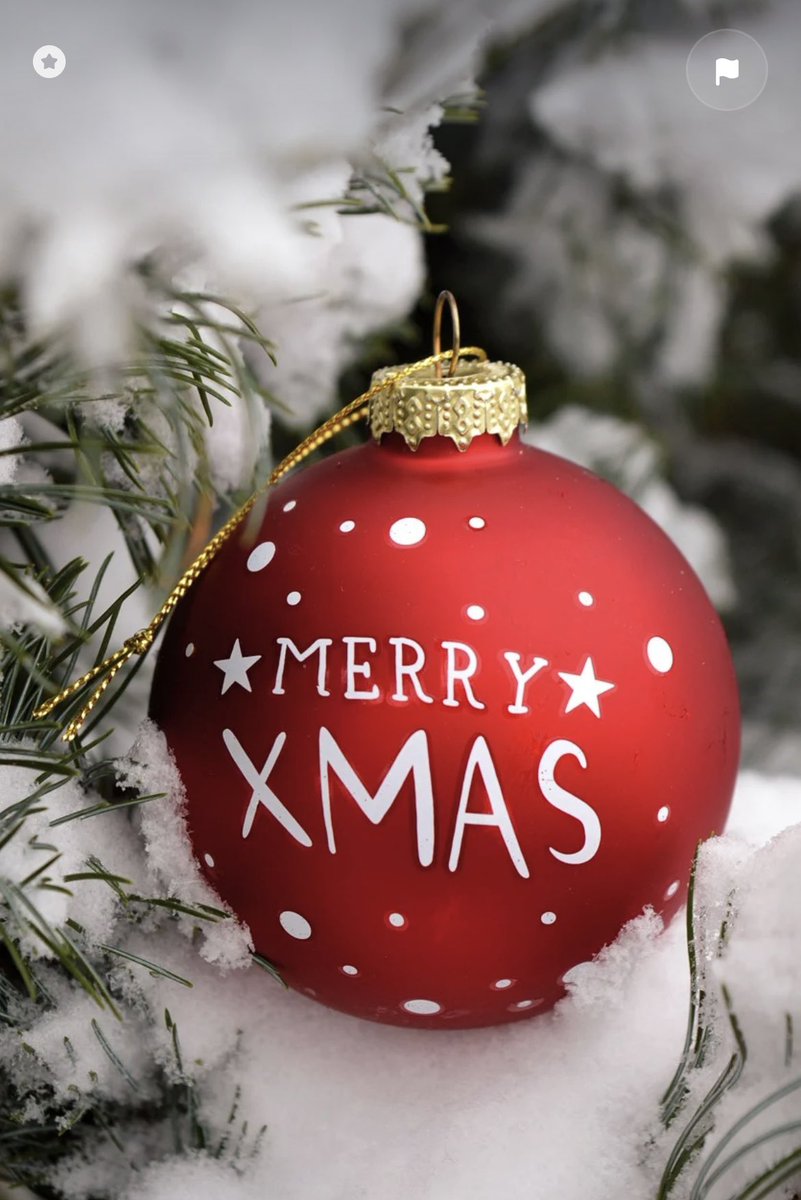 gemladytreasure's tweet photo. Merry Christmas to all!!! 🎄#AdoptDontShop https://t.co/KYOlZ1BFet