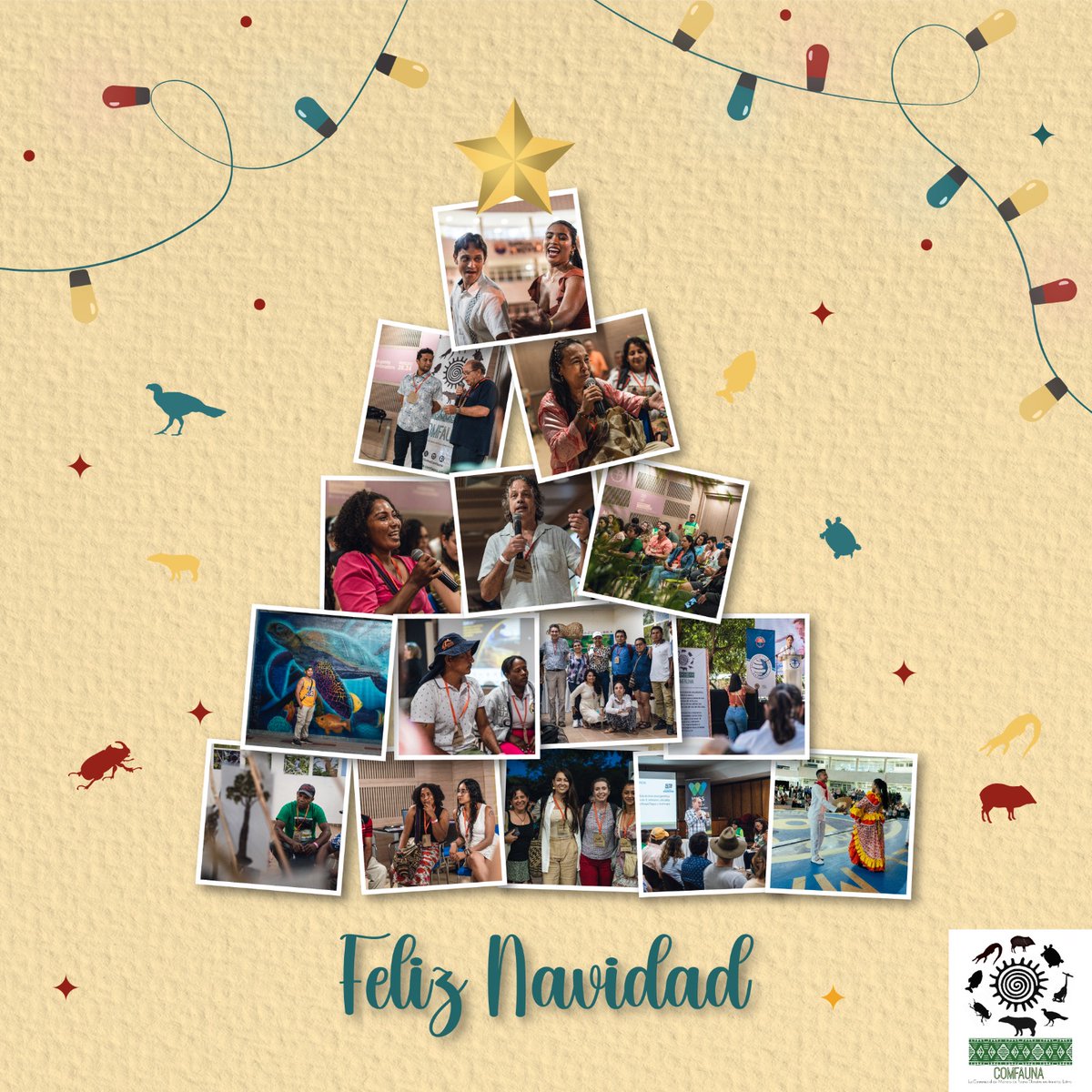 ¡Feliz Navidad!

Deseamos que cada día seamos más los que aportamos al uso sostenible de la vida silvestre.