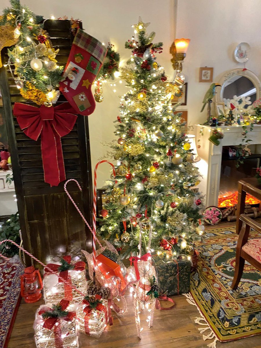 starligh✴ tweet media