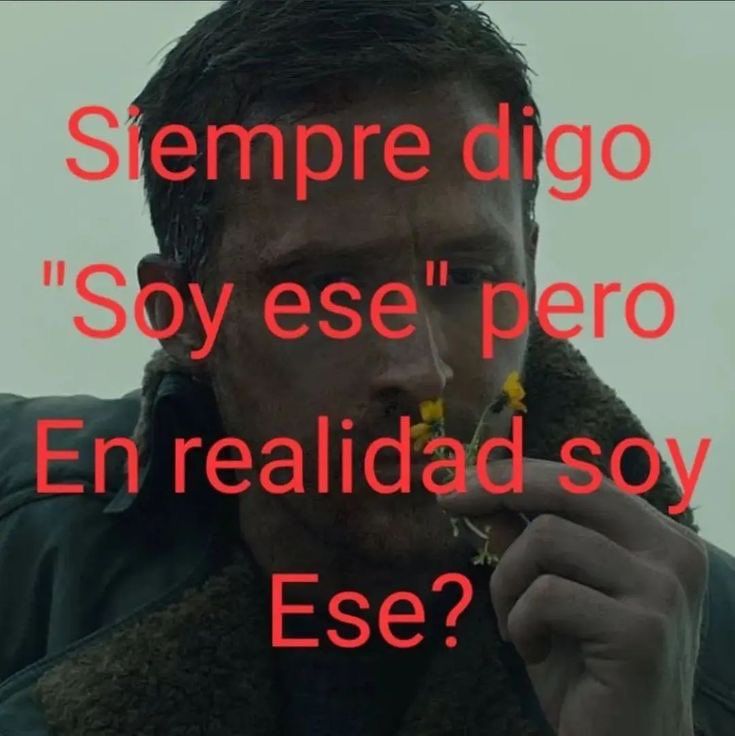 chincheto pirata somali (@wikipistacho) on Twitter photo 