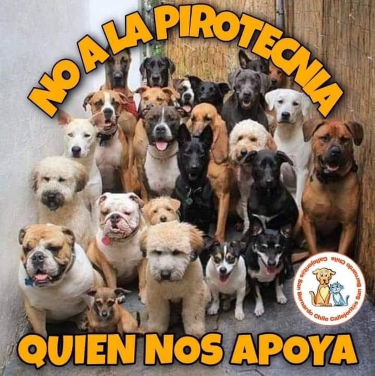 mayumiguillen's tweet photo. https://t.co/qI6BuGZWRt