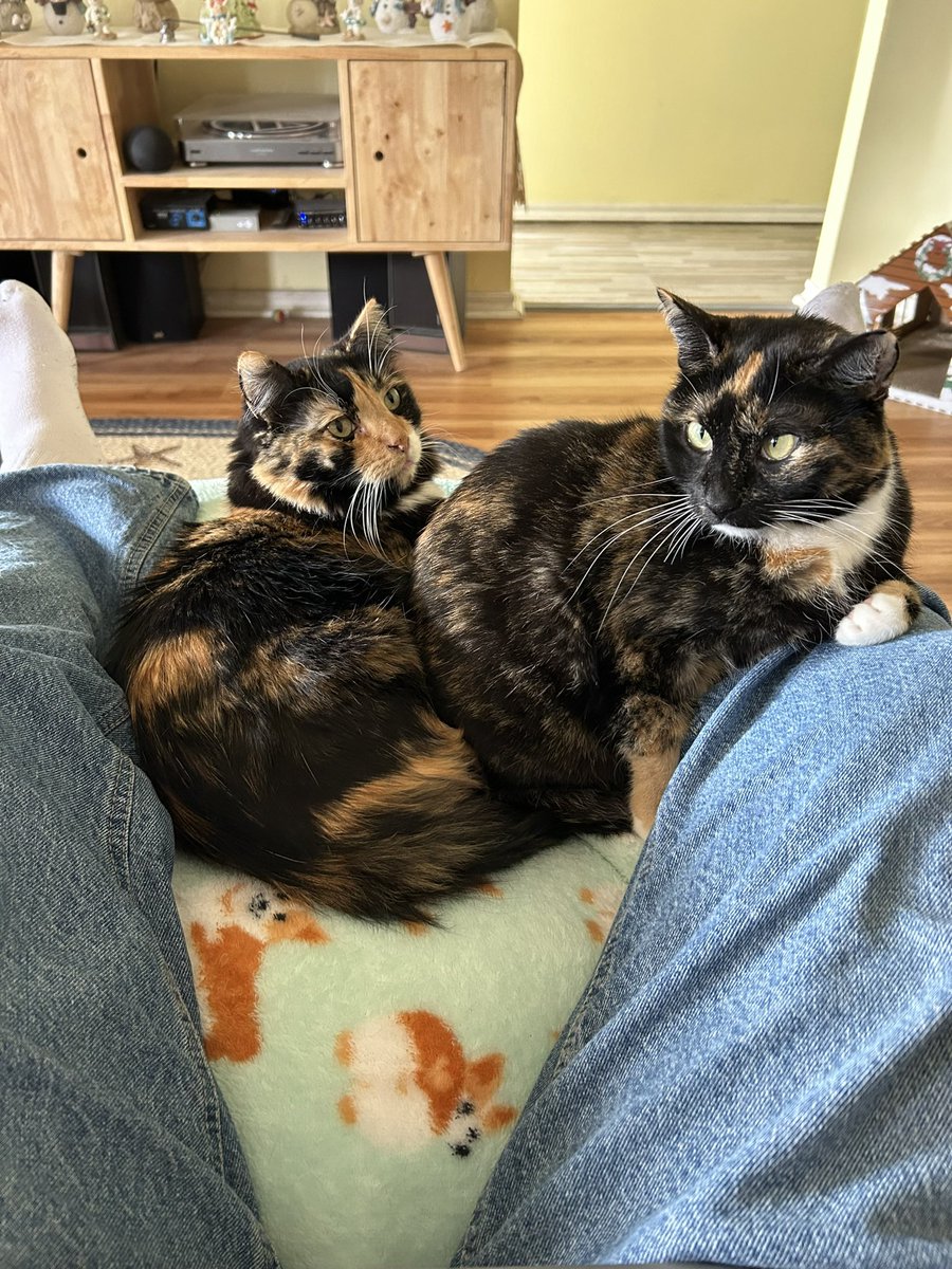 Merry Christmas, everyone. We’re hanging out with dad today. We hope you’re having a great day!