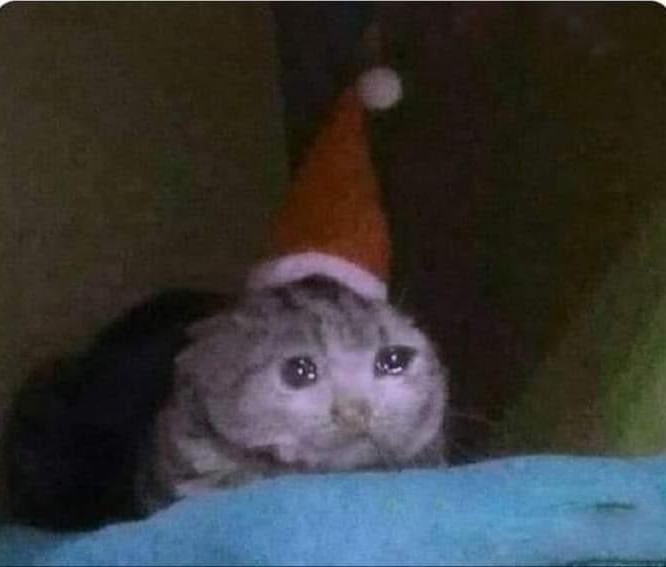 EPN_Momos's tweet photo. - Y que deseas por navidad? 
- Que regrese mi ex 🥹 https://t.co/CL4a4uiD6n