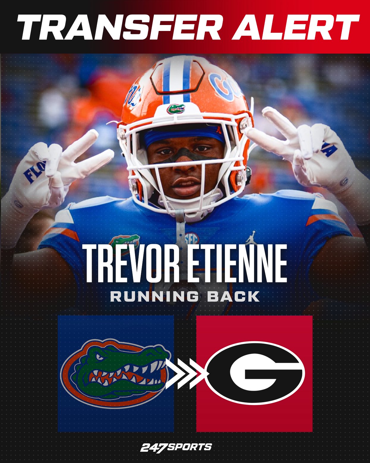 Dawgs247 on sale