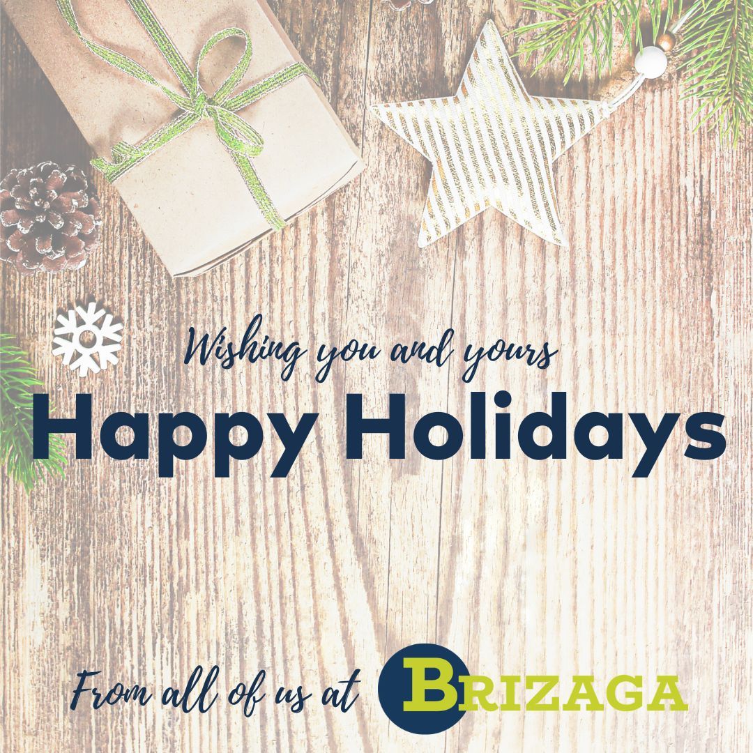 🌴 Celebrate the season, Florida style! 🎄✨ Sending sunshine and warm wishes from Brizaga to your homes. May your holidays be filled with the magic of the tropics and the joy of the festive season! 🏖️ #FloridaHolidays #HappyHolidays 🍊