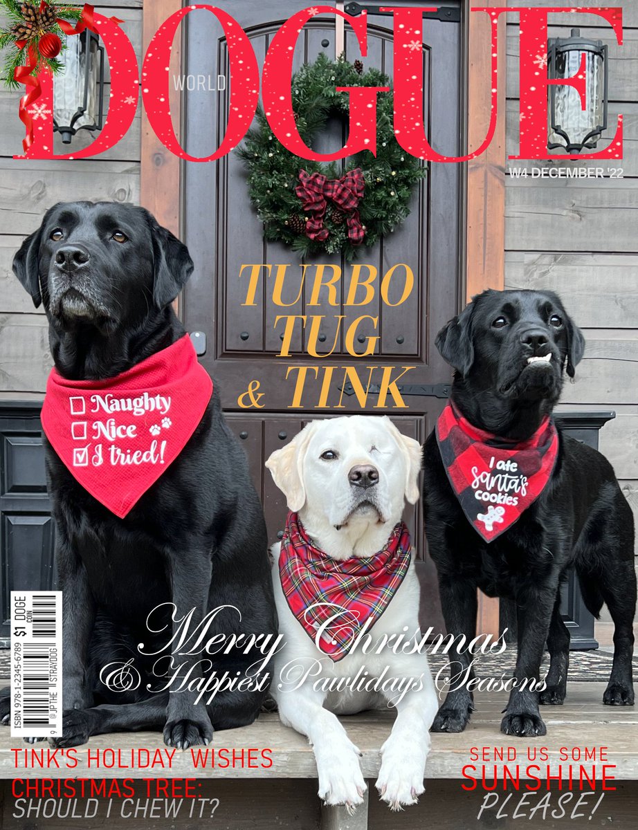 Pet Magazine Covers tweet media