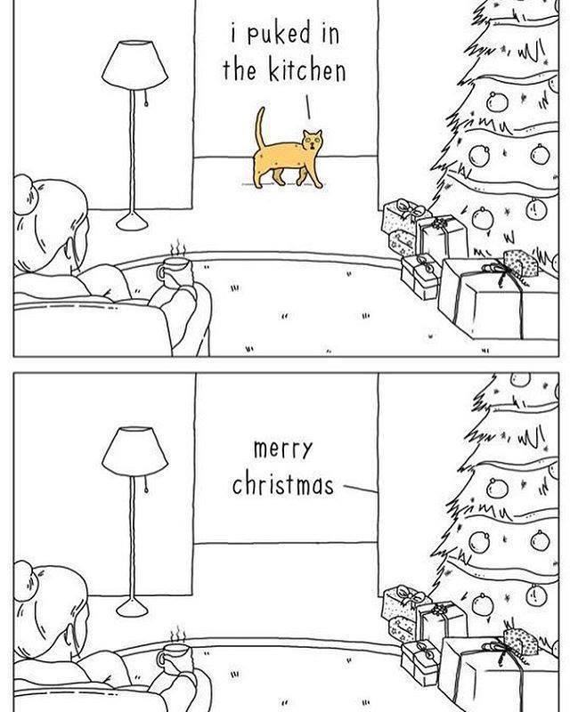 Merry Christmas 🎅

#SeasonsGreetings #MerryChristmas #HappyHolidaze #HappyHolidays #Christmas2023 #christmashumor #cats