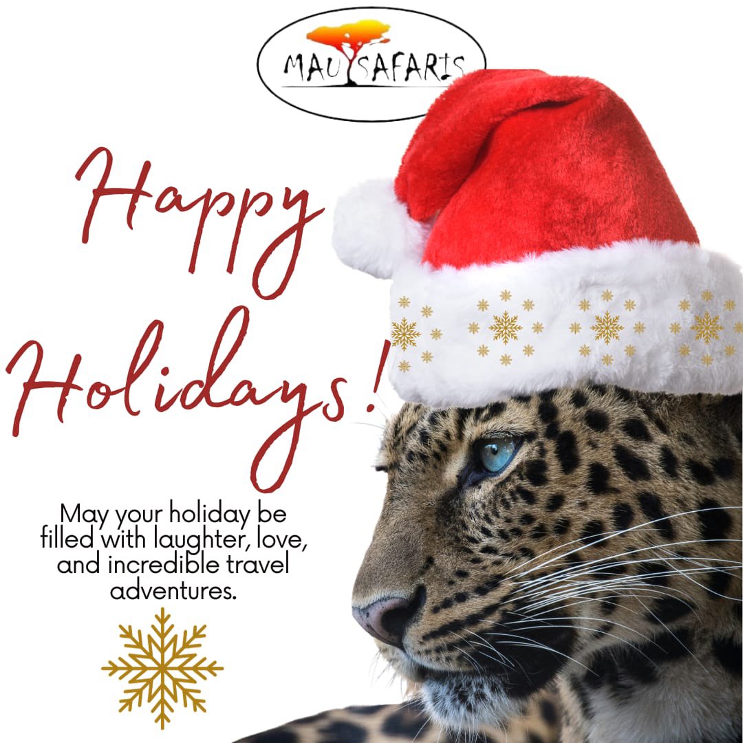mausafaris's tweet photo. https://t.co/2W3BxZfaaF