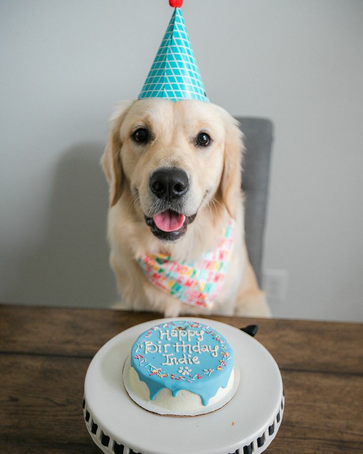 happy birthday to our beautiful boy 🥳🎂