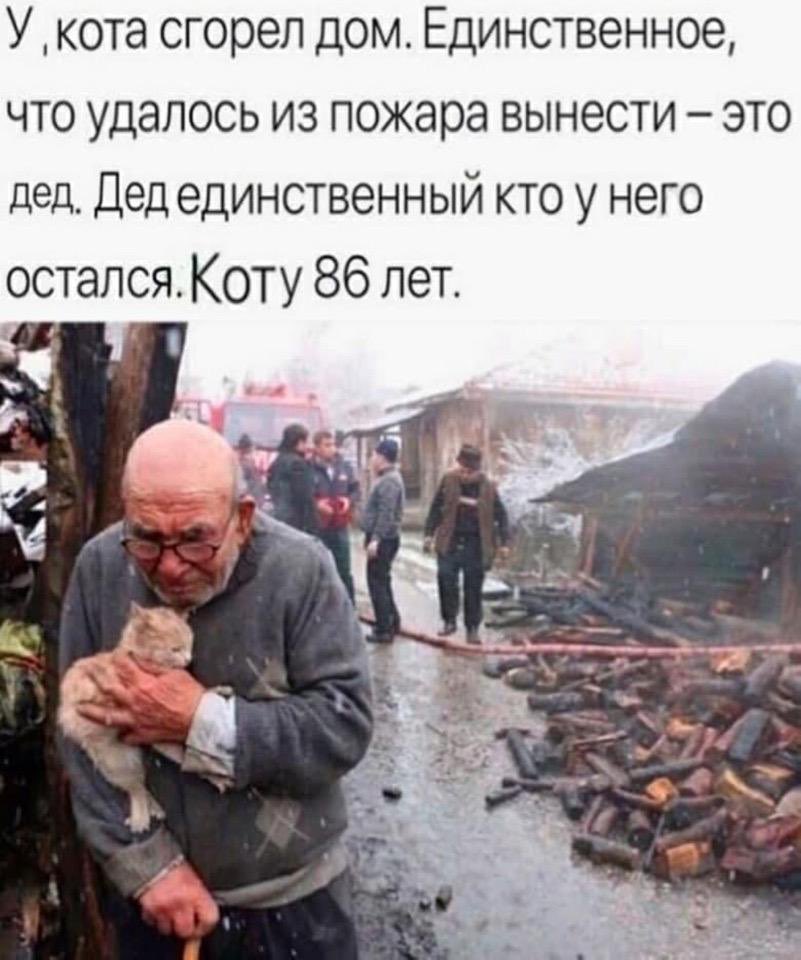 видел эту новость три года назад
интересно как у кота сложилась жизнь после этого