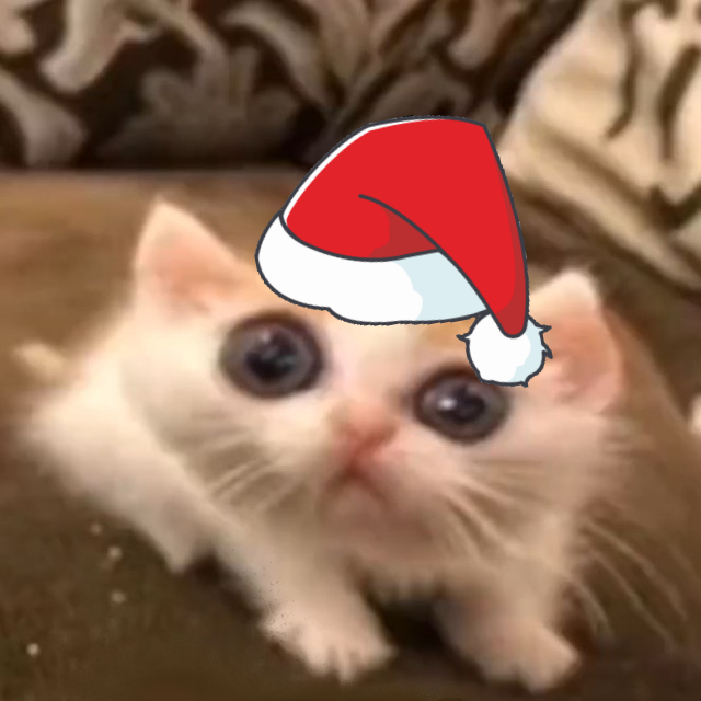 Alex Deer🦌🌸 tweet media