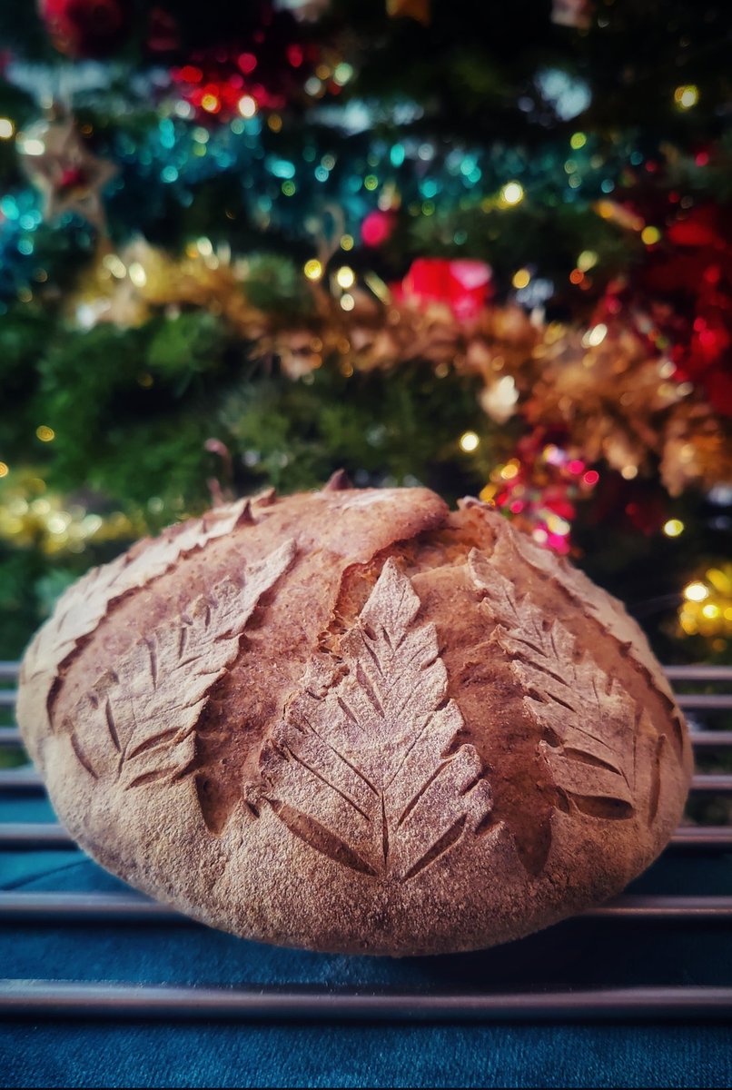 Today's Xmas Eve sourdough score. Festive tree design.
#artisanbaker #artisanbread #bakefromscratch #bakersgonnabake #bakersofinstagram #bakeyourownbread #baking #davebakesbread #bakinglife #bakinglove  #bread #breadbaker
