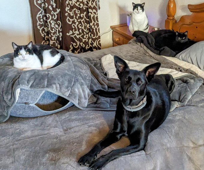 All my girls ❤️ https://t.co/PQuF2ERAcq