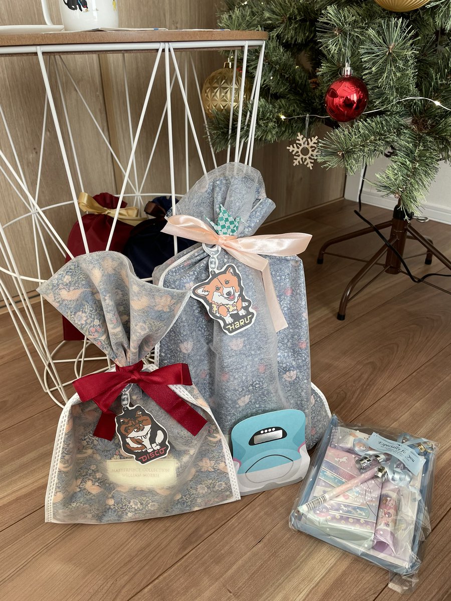 mimuran03's tweet photo. それぞれ予算を出す予定で購入した3種セット。
父母からのクリスマスプレゼントにすることにしました！
兄はディス山ねぇさん、妹はハルちゃん、母はスティーブ。
実物渡すのが今から楽しみだなぁ☺︎

#柴犬スティーブch https://t.co/U4Mp3BoU95