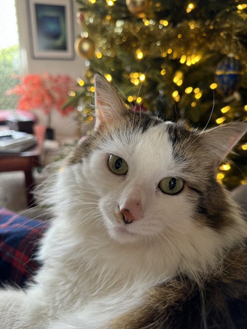 However you&rsquo;re doing it this year, be kind to yourself. Because you matter ❤️ Happy Christmas from Floof