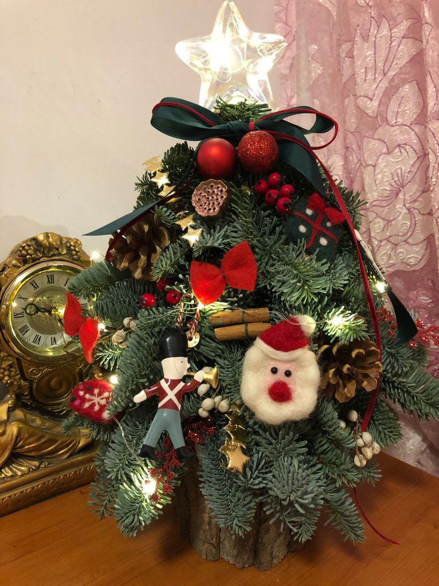 AnnCuute's tweet photo. Live happily every day and have a Merry Christmas! https://t.co/Ke7nDyakLH