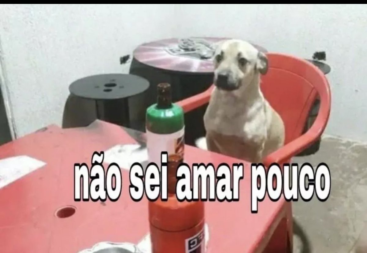 Shitpost só que de verdade (@shitpostverdade) on Twitter photo 