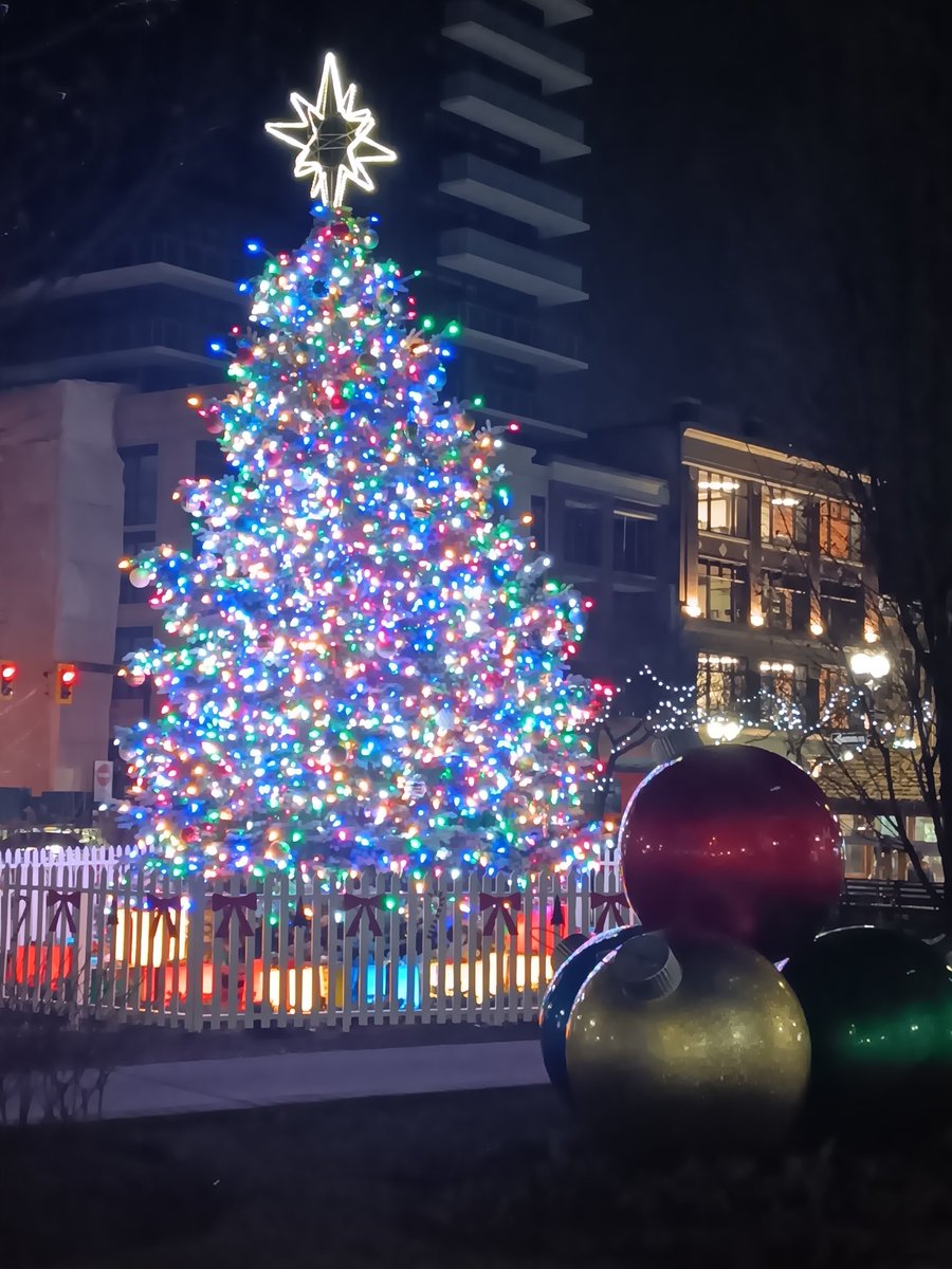 ☃️☃️ Wishing everyone a Safe and Happy Holiday Season   #HamOnt  ☃️ ☃️
