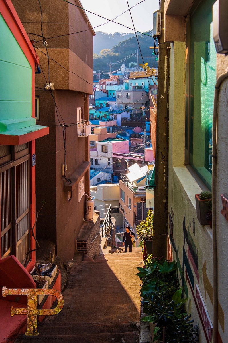 TIMOOOO206's tweet photo. There is no beauty without color. 🌈
#Timfranklinphotography #busan #southkorea #gamcheonculturevillage #gamcheon #trekking #blackartist #apple #microsoft #attacktheshot #worldmastershotz #iphone12 #travelawesome #fantastic_earth #traveladdict #thecreatorclass #visualsoflife https://t.co/fdtu4XnH1j