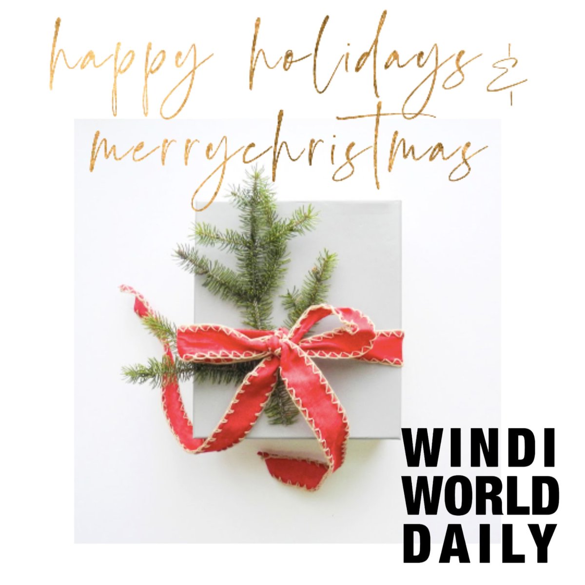 Windi World Daily with Windi Washington tweet media