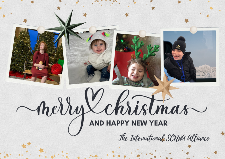 SCN8AAlliance's tweet image. 🎅🦌 Merry Christmas from all of us at the International SCN8A Alliance! Wishing you a holiday full of laughter, love, and cherished moments. ❄️☃️

#scn8a #scn8astrong #collaboratingforacure