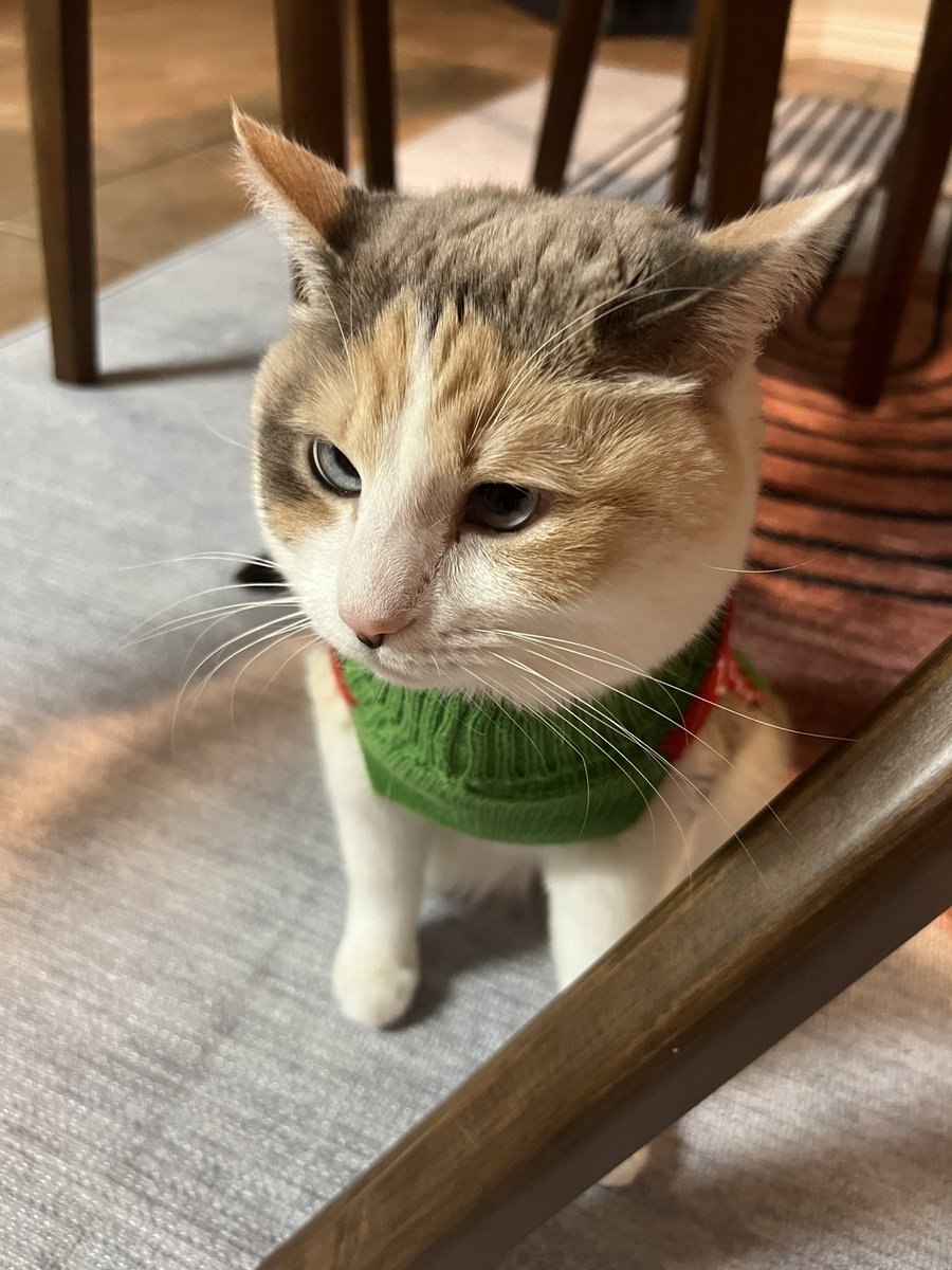 Panko just told me she wants to be forklift certified for Christmas this year