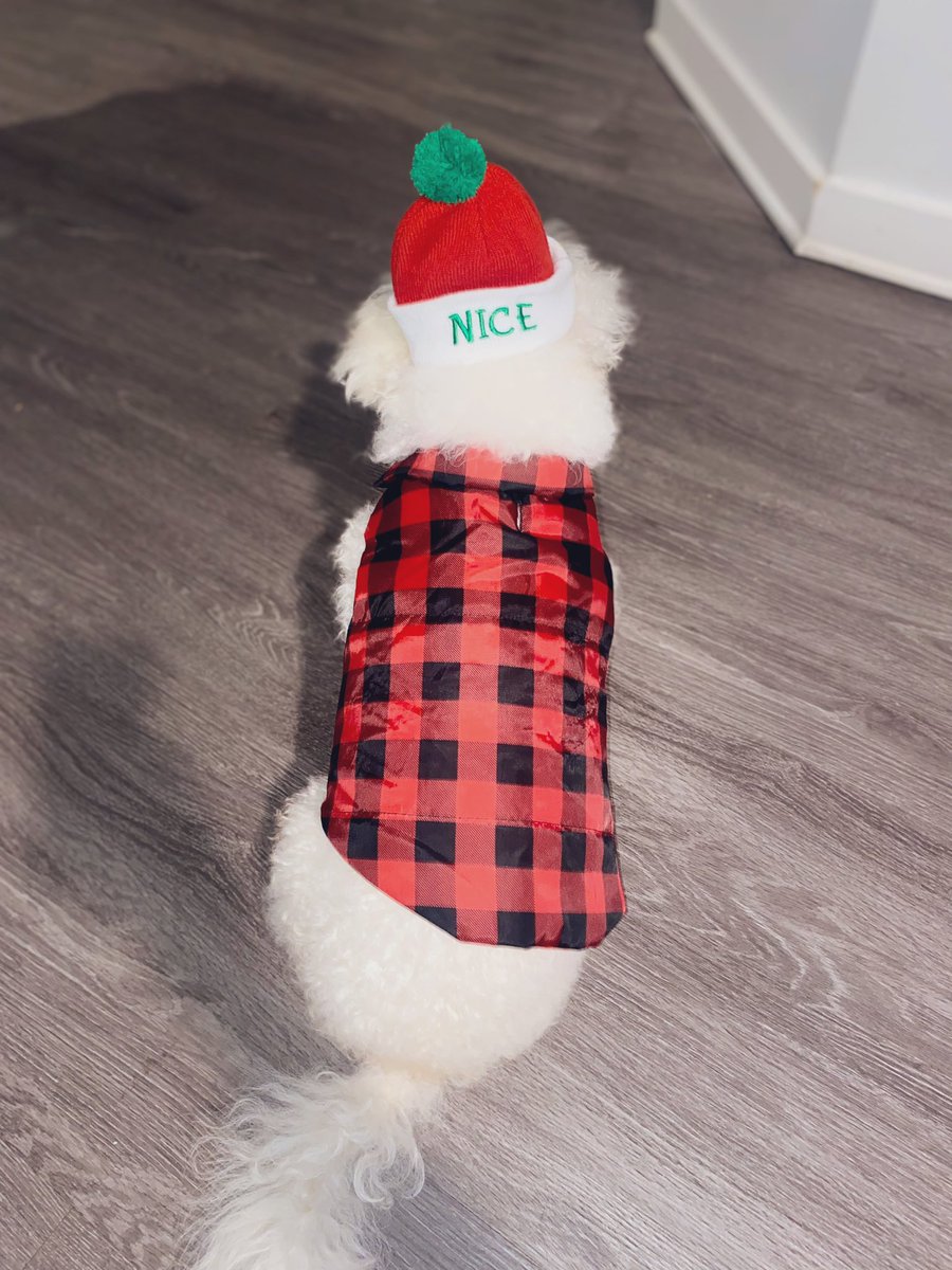 beautyawakenz's tweet image. Happy holidays❤️💚

#ourfirstchristmas #adoptlife #angel #naughtylist