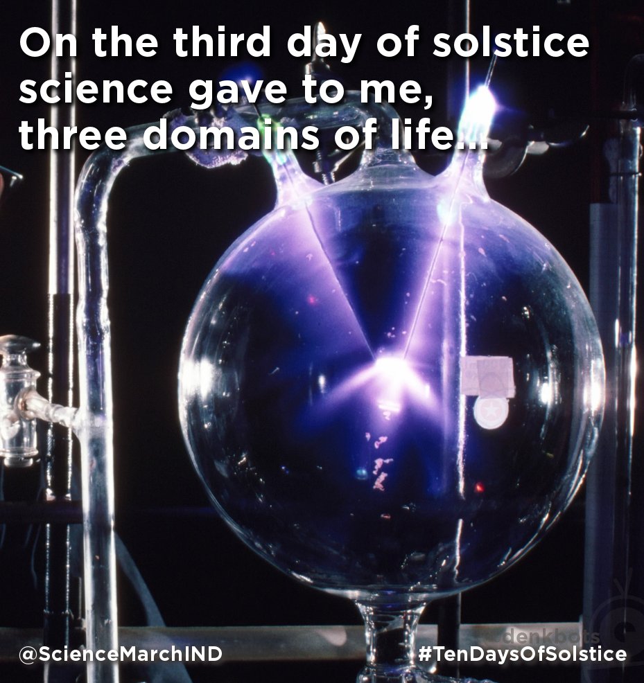 ScienceMarchIND's tweet photo. On the third day of solstice
science gave to me,
three domains of life...
#TenDaysOfSolstice https://t.co/EBUGrcCGDO
