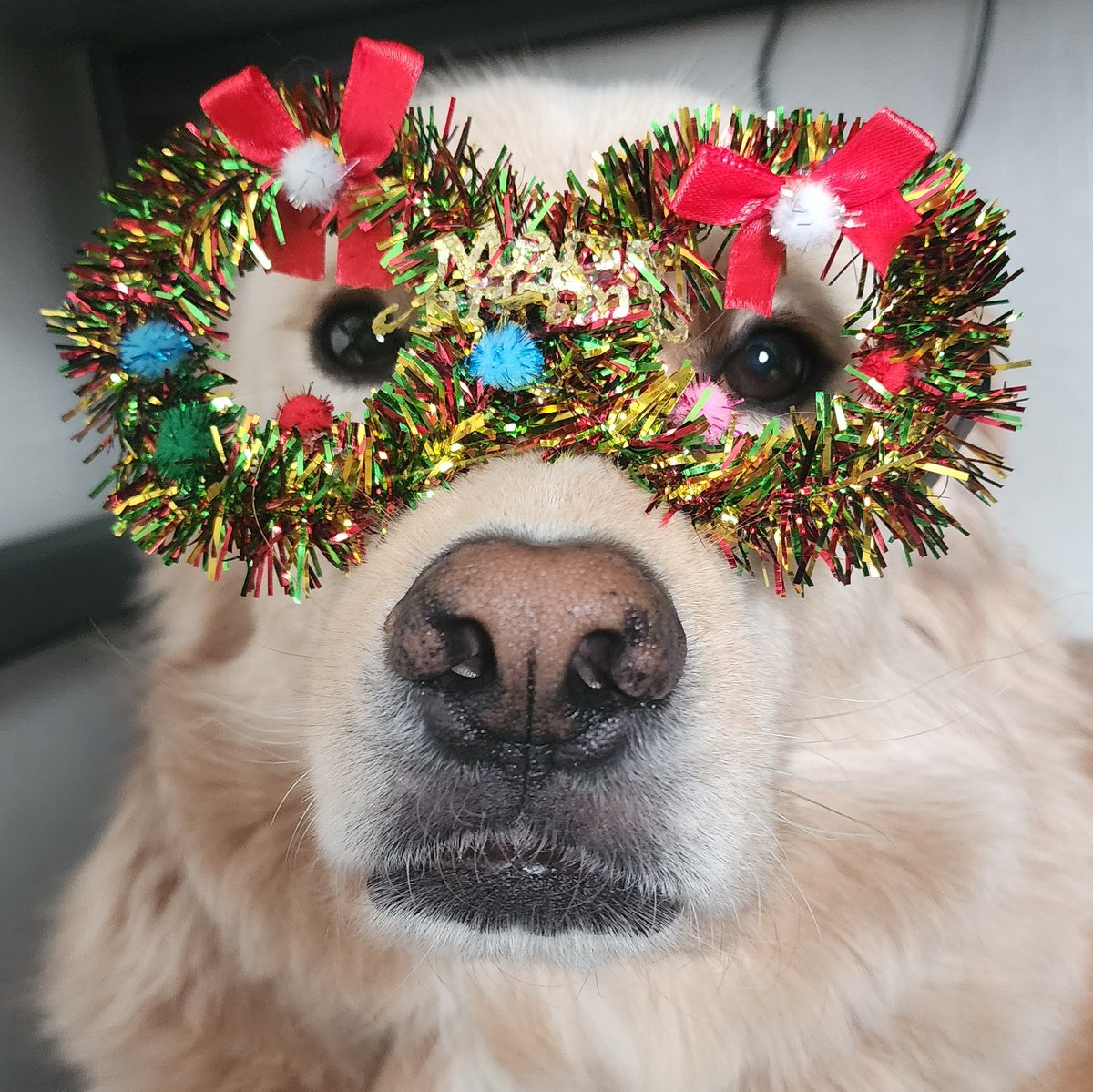 메리크리스마스