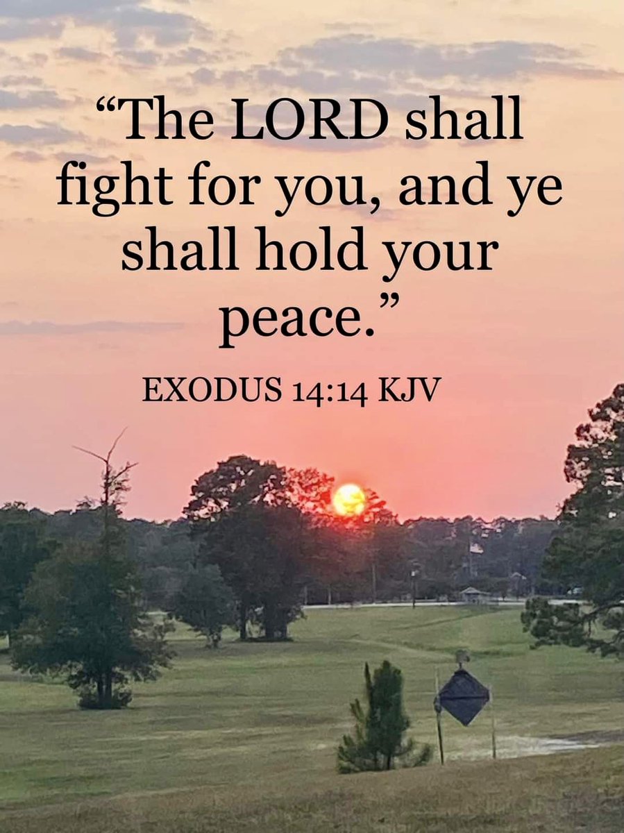 May you enjoy a Peaceful Christmas Evening, In Jesus Christ name I pray Amen and Amen 🙏 🎚🙏🙌💕💤✍️