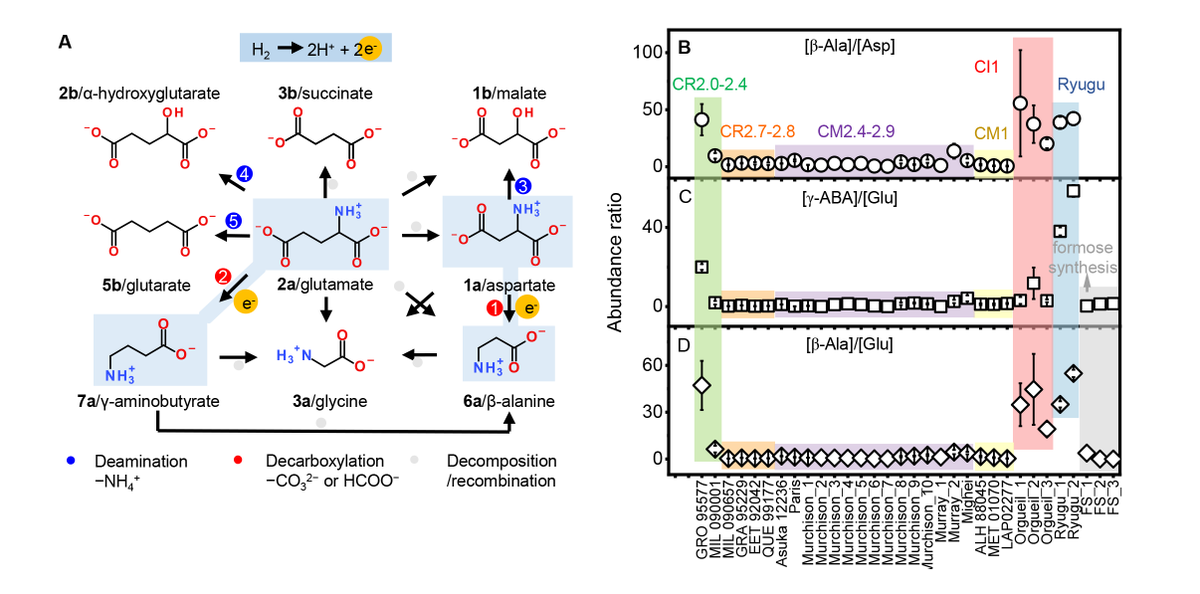 A research team led by ELSI researchers has now elucidated the reaction pathways that can breakdown the proteinogenic amino acids under electrochemical conditions. elsi.jp/en/news_events…