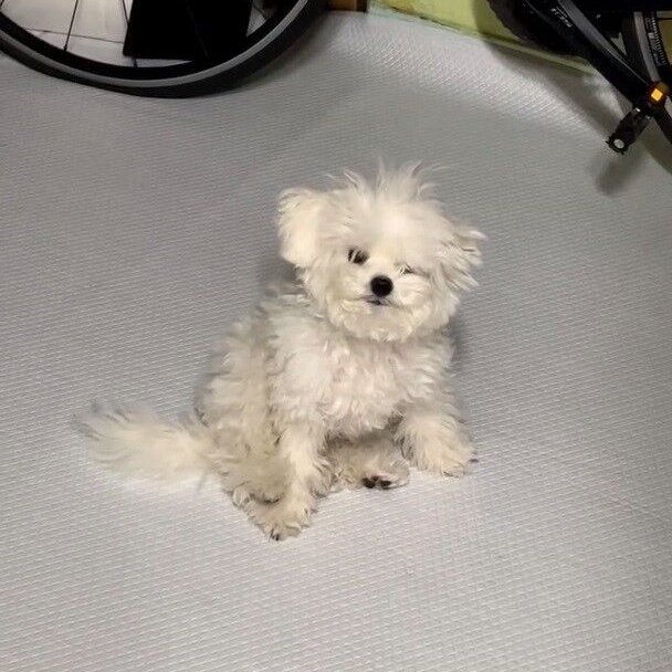 내년에 깨어나려고 했는데 지금 일어나서 31일까지 연재 본편 오픈합니드르렁 

H를 조심해
posty.pe/nbezg6
별일 없는 밤 되시길 바랍니다
posty.pe/o3m9cg
I GO! 
posty.pe/5u8pfz