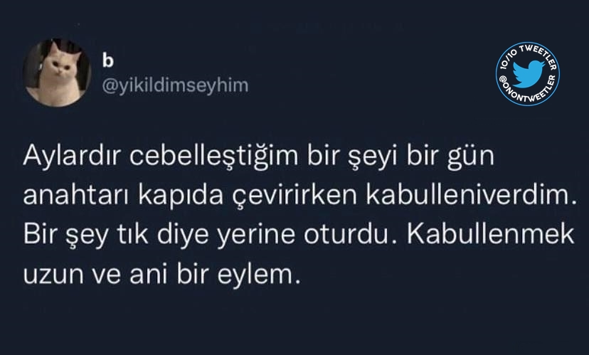 10/10 Tweetler (@onontweetler) on Twitter photo 