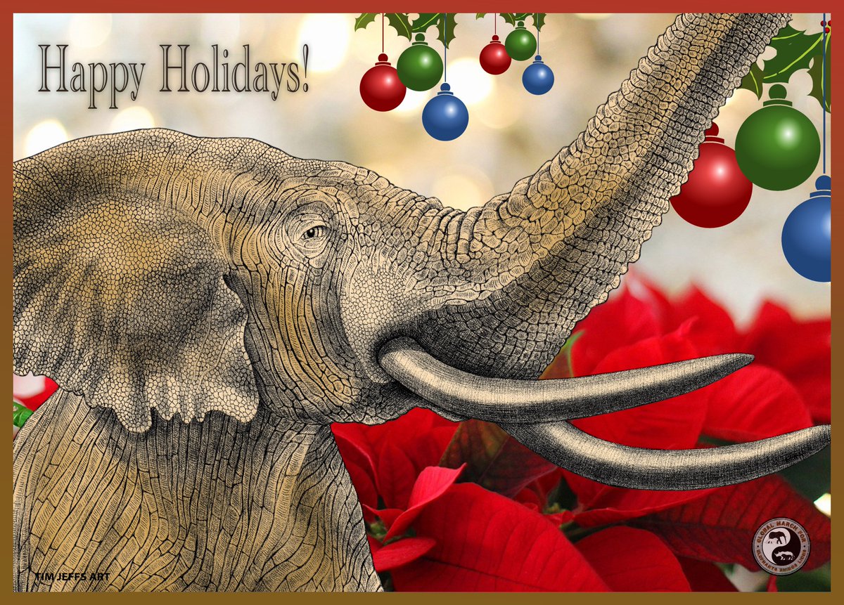 EleRhinoMarch's tweet photo. π Wishing you PEACE & JOY during the holidays and 2024! π
ππ #MerryChristmas #GMFER #CelebrateJoy
#MarchAgainstExtinction #GMFER #SaveOurWildWorld https://t.co/2u8ywjRpA0