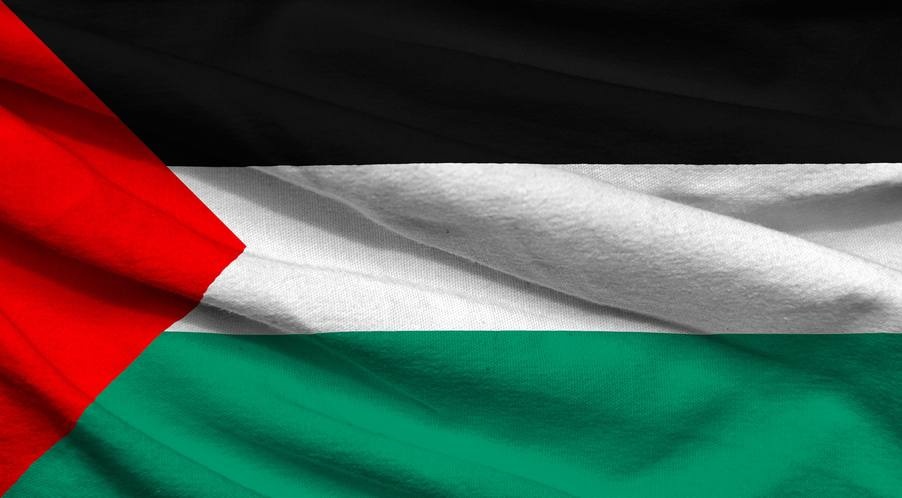 Unos podemos celebrar la unión de nuestras familias. Otros no, otros se quedan sin familia. 

Nuestro corazón está con la niñez palestina. Deseamos la paz al pueblo palestino.