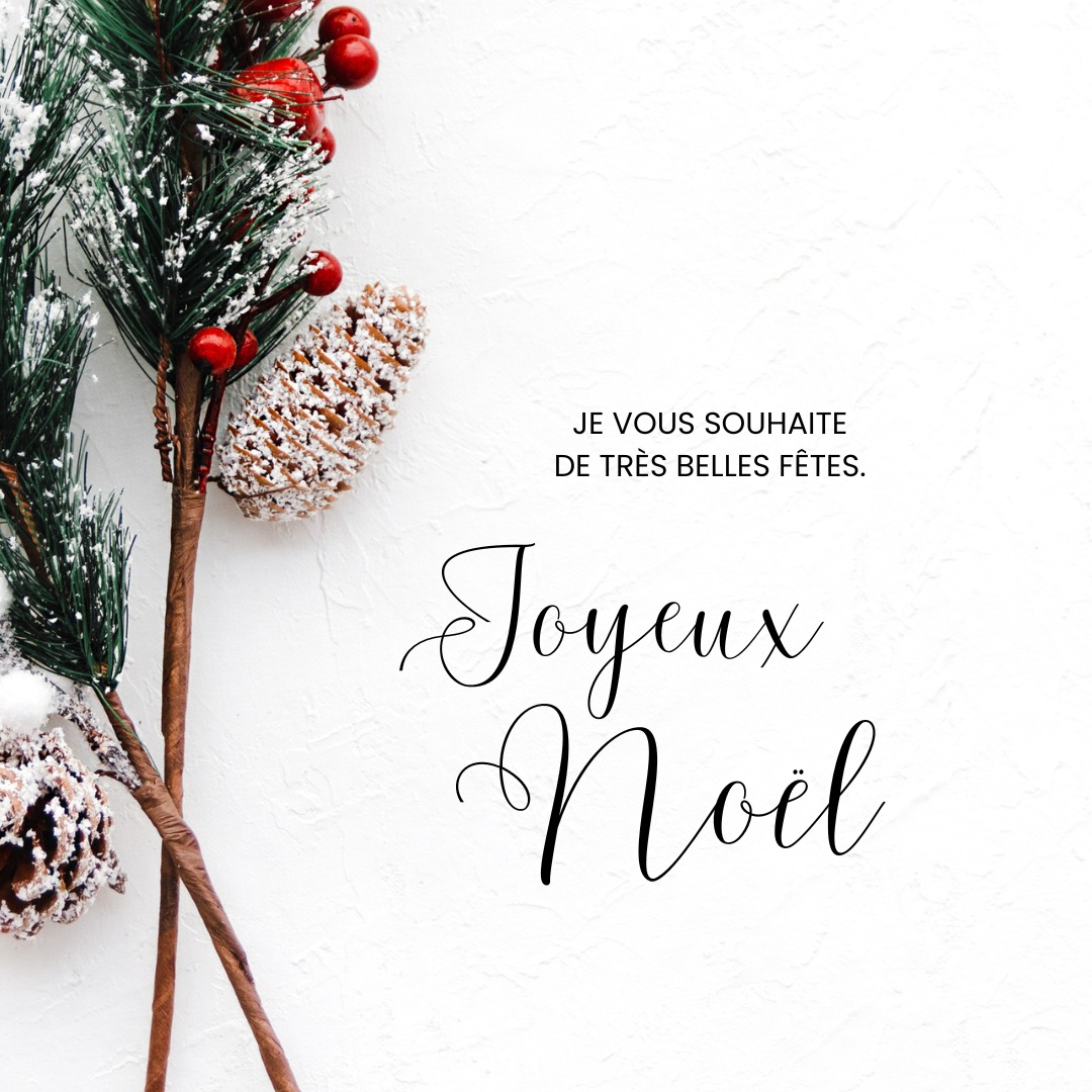 🎄✨ #JoyeuxNoel à tous ! Que ces fêtes vous apportent joie, paix et moments de bonheur partagés avec vos proches. Meilleurs vœux ! 🌟