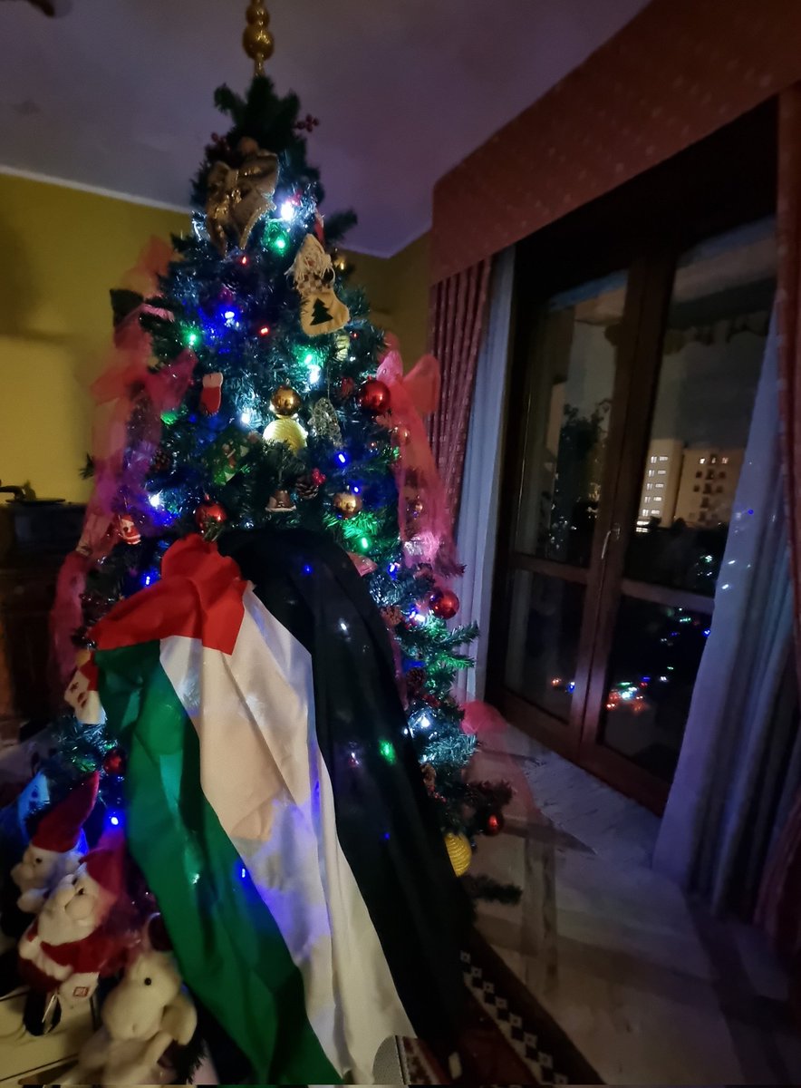 AngiGarofalo's tweet photo. 🌟L'attesa
🌟La speranza
🌟La preghiera 
🌟La luce della Pace
#NotteSanta #Natale2023 https://t.co/HcKsO038h3