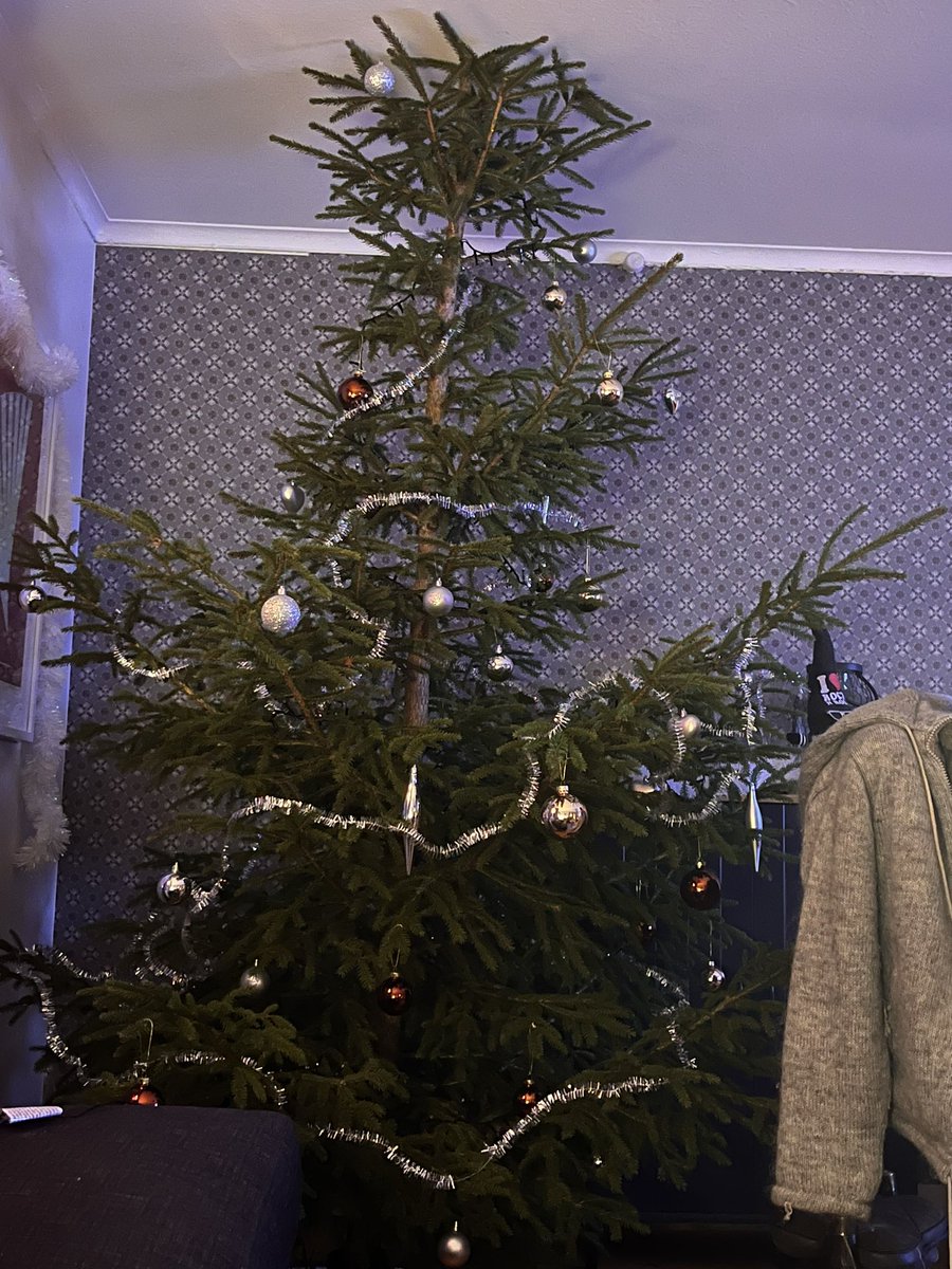 Elle69's tweet photo. Hmmm… har vi lyckats med granen iår? 🎄Lyser noll och växer GENOM taket!!! 😱@PMRisman https://t.co/gvS1wMwXg6
