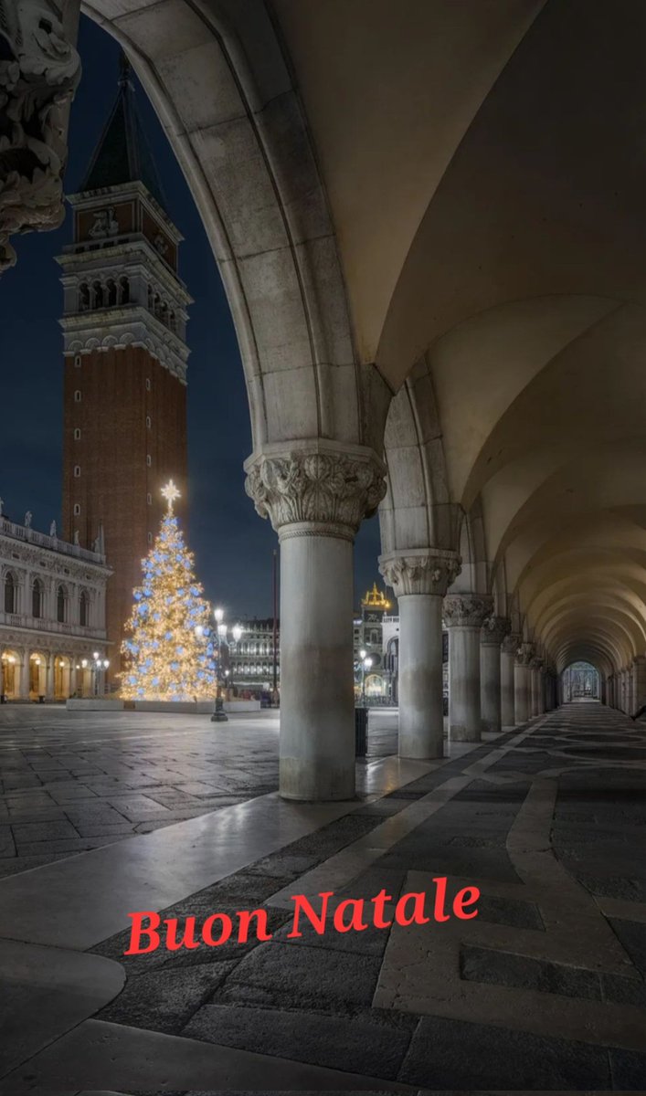 Magica Notte a tutti amici...a domani 😘😘😘 Venezia 🤩🤩🤩🎄🎄🎄